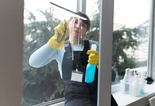Nettoyage de vitres intérieures et extérieures à Mogneneins